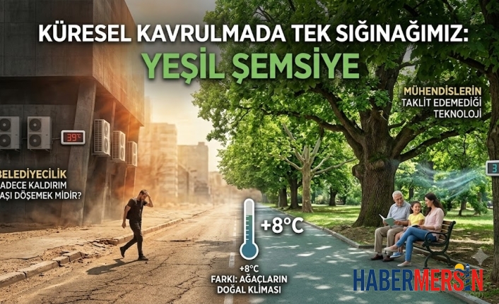 Beton Kentler Kavruluyor. Uzmanlar "Yeşil Altyapı" İçin Alarm Veriyor!