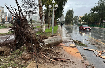 Mersin’de Fırtına ve Sağanak Kabusu: Dev Ağaçlar Araçların Üstüne Devrildi, Çatılar Uçtu!