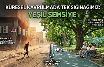 Beton Kentler Kavruluyor. Uzmanlar "Yeşil Altyapı" İçin Alarm Veriyor!