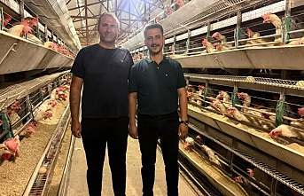 Mut'ta Üretime Tam Destek: Ahmet Hüsrev Demir'den Tavuk Çiftliği Ziyareti