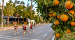 7. Uluslararası Mersin Maratonu Heyecanı Başlıyor: Kayıtlar İçin Son Gün 10 Aralık!