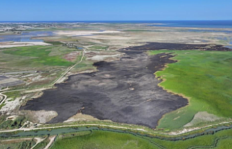 Mersin İçin Susuzluk Alarmı: 2040 Yılında Kişi Başına Su Miktarı Kritik Seviyeye Düşebilir!