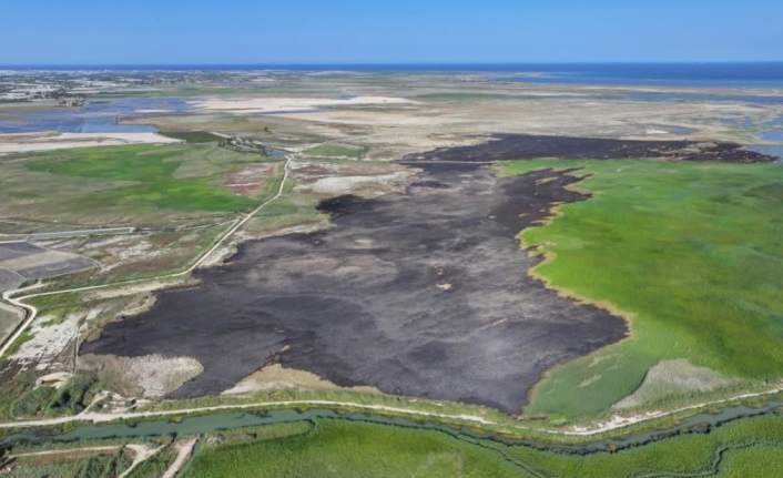 Mersin İçin Susuzluk Alarmı: 2040 Yılında Kişi Başına Su Miktarı Kritik Seviyeye Düşebilir!